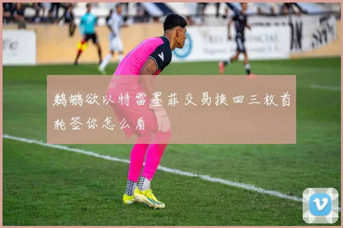 鹈鹕欲以特雷墨菲交易换回三枚首轮签你怎么看