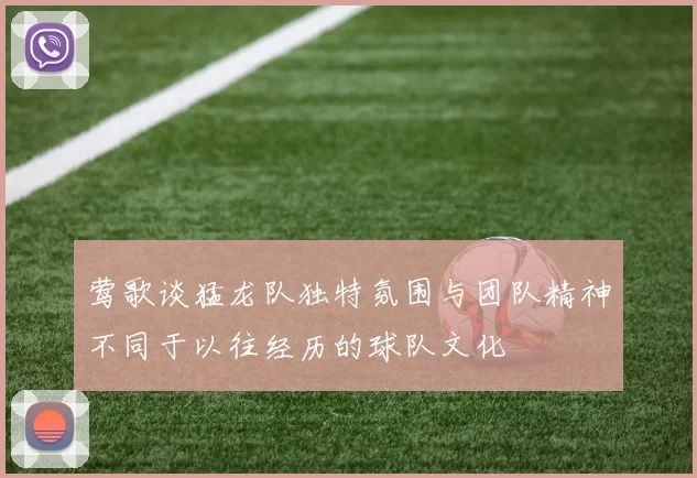 莺歌谈猛龙队独特氛围与团队精神不同于以往经历的球队文化